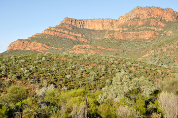 Flinders Ranges National Park, South Australia