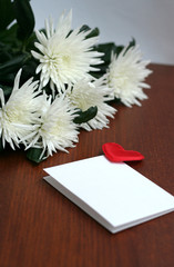 white flowers, bouquet of chrysanthemums