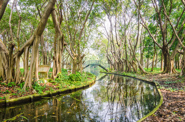 Fototapeta premium Forest park