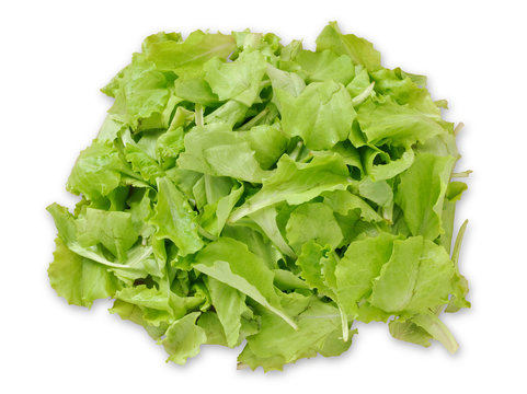Insalata tenera