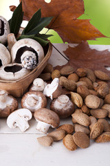 Still life with mushrooms and almonds fall season
