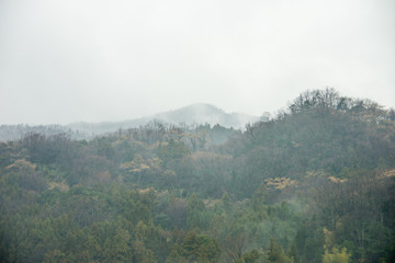 霧と山