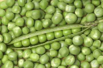 Fototapeta na wymiar Green peas