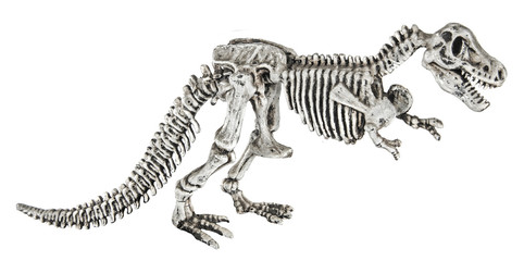 T.rex skeleton