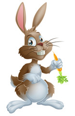 Fototapeta na wymiar Bunny rabbit and carrot