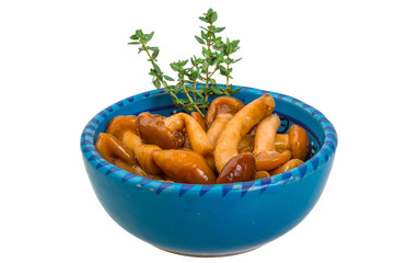 Armillaria