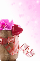 beautiful branch Phalaenopsis