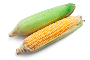 Corn