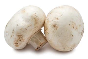 Champignon mushrooms