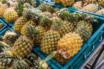 Pineapple in Fruit Department