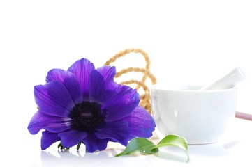 Sanfte Medizin Anemone