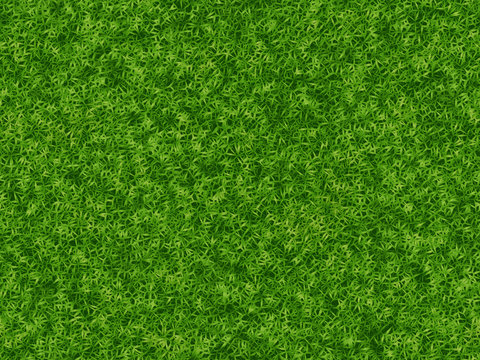 lush green grass texture. wallpapers pattern