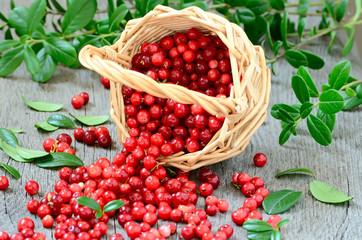 Cowberries in the basket