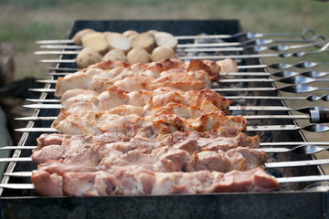 Шашлык на шампурах