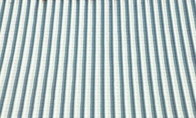 detail of japanese temple roof