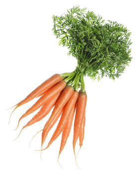 Bunt Karotten