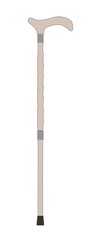 cartoon image of walking stick