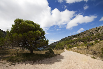 Fototapeta na wymiar Country road in the hills in fall with clouds in Alicante mounta
