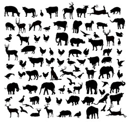 Animals & Birds Silhouette set - vector