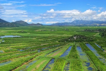 Obraz premium Neretva Delta 19
