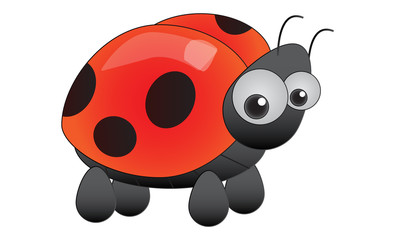 Fototapeta premium Red Lady Bug