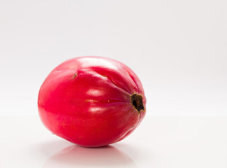 Apple cactus .