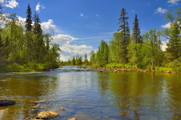Polisarka river. Kola Peninsula. River spawning salmonids