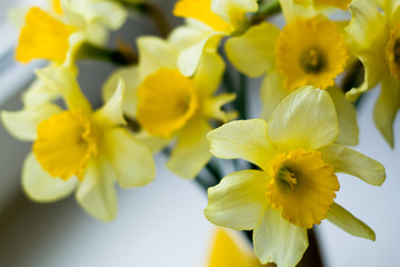 Obraz premium Bouquet of yellow daffodils are in yellow small jug
