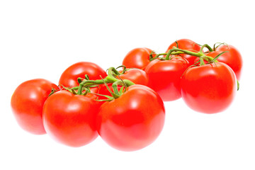 Branch of tomatoes isolated on white background