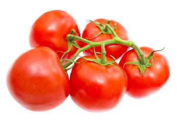 Branch of tomatoes isolated on white background