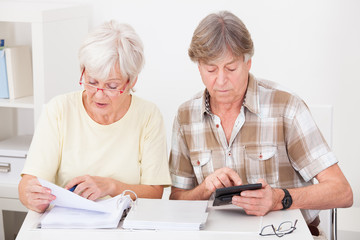 Senior Couple Doing Their Finances