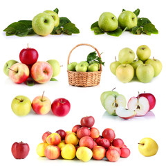 Apples isolated on white