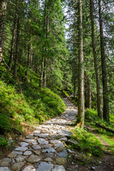 Stone path leading to the peak