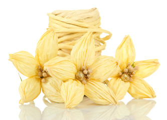 Decorative straw for hand made and flowers of straw, isolated