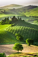 Photo sur Plexiglas Toscane Ferme d& 39 oliveraies et de vignes