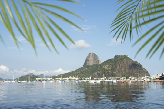 Sugarloaf Pao de Acucar Mountain Rio de Janeiro