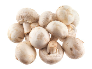 Button mushroom