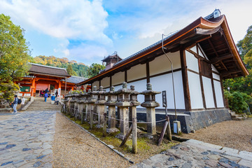 Obraz premium Kasuga Taisha in Nara