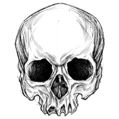 Skull drawing 01