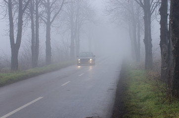 Car on road on thick fog