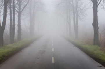 Road on foggy day