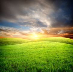 Obraz premium Field at sunset
