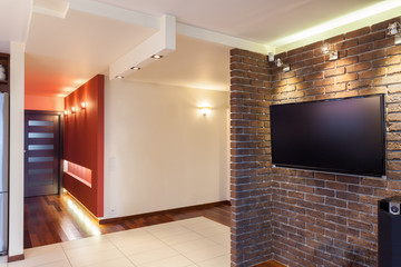 Spacious apartment - interior