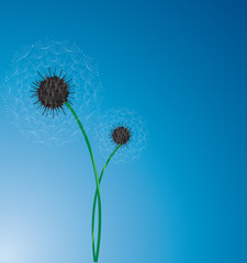 The vector dandelion on  the integrity