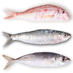 tris di pesce
