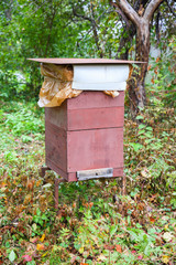 bee hive in the garden