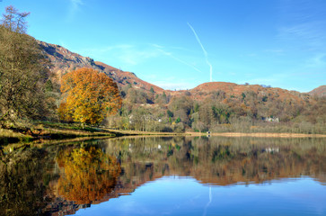 Autumn tree reflected in Grasmere