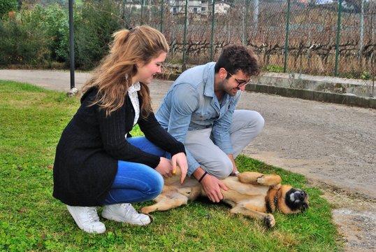 Ragazzi giocano col cane