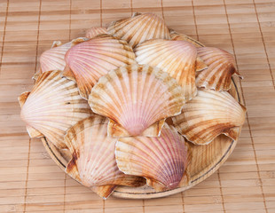 Wooden plate with shell scallops