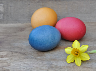 oeufs de Pâques et narcisse